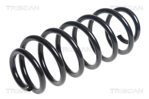 Spiralfjäder bak från TRISCAN