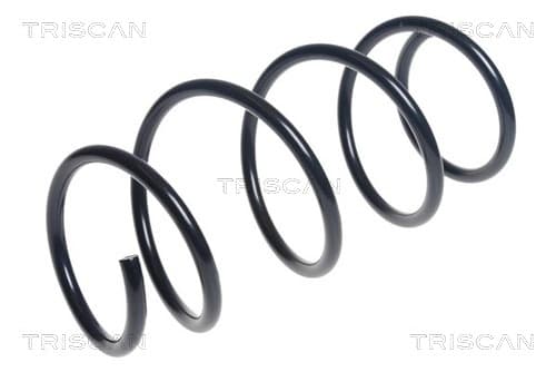 Spiralfjäder fram från TRISCAN