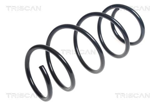 Spiralfjäder fram från TRISCAN