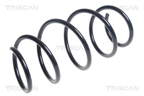 Spiralfjäder fram från TRISCAN