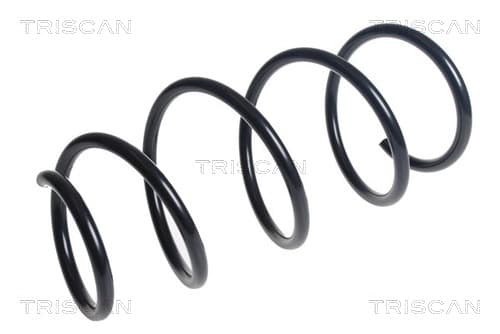Spiralfjäder fram från TRISCAN