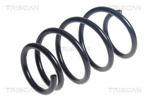 Spiralfjäder fram från TRISCAN