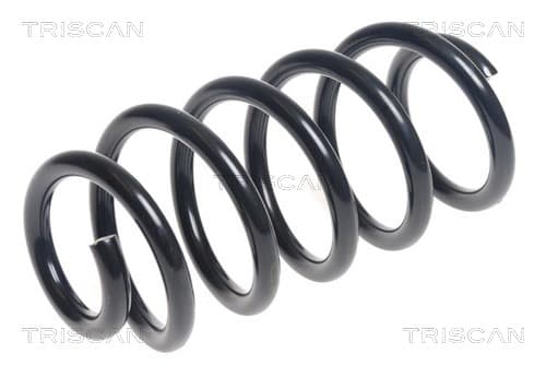 Spiralfjäder bak från TRISCAN