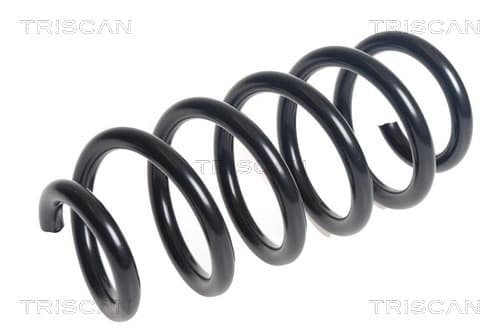 Spiralfjäder bak från TRISCAN