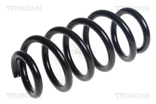 Spiralfjäder bak från TRISCAN