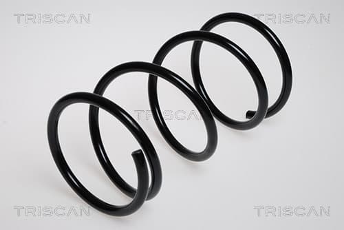 Spiralfjäder fram från TRISCAN