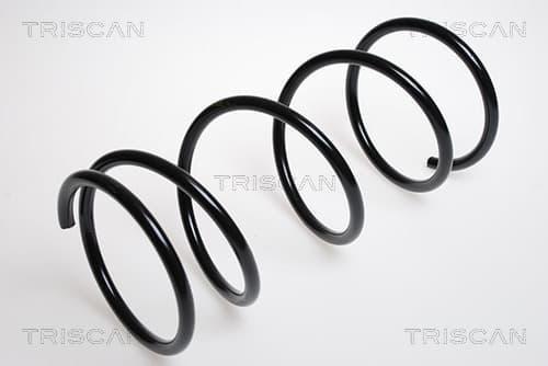 Spiralfjäder fram från TRISCAN