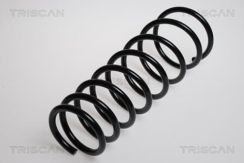 Spiralfjäder bak från TRISCAN