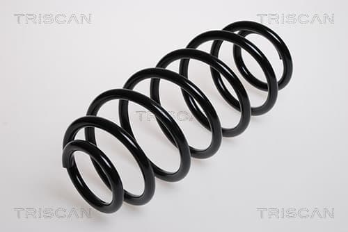 Spiralfjäder bak från TRISCAN