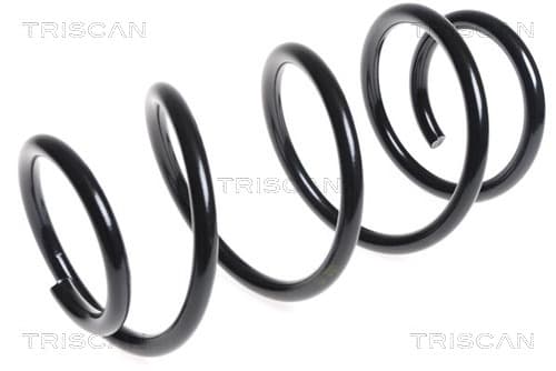 Spiralfjäder fram från TRISCAN