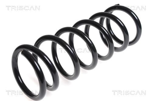 Spiralfjäder bak från TRISCAN