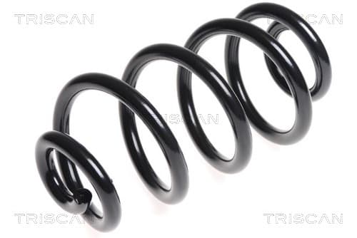 Spiralfjäder bak från TRISCAN