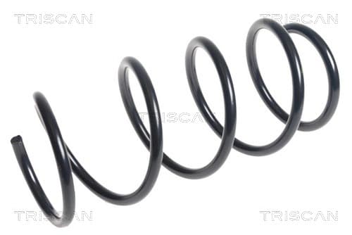 Spiralfjäder fram från TRISCAN