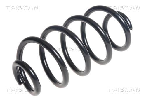 Spiralfjäder bak från TRISCAN