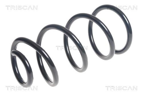 Spiralfjäder bak från TRISCAN