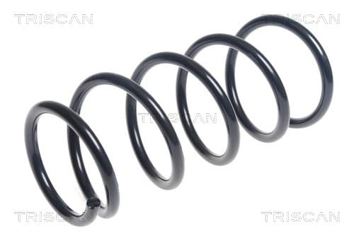 Spiralfjäder fram från TRISCAN