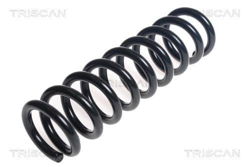 Spiralfjäder fram från TRISCAN
