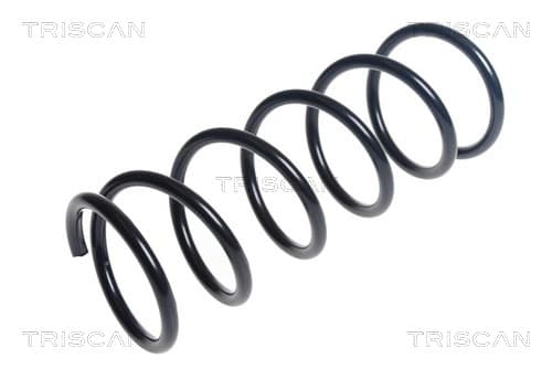 Spiralfjäder fram från TRISCAN