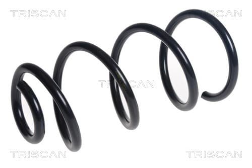 Spiralfjäder bak från TRISCAN