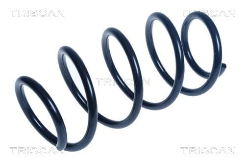 Spiralfjäder fram från TRISCAN
