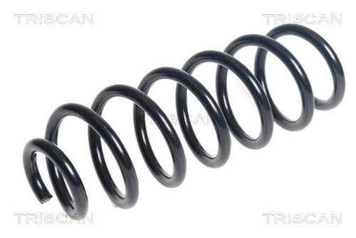 Spiralfjäder bak från TRISCAN