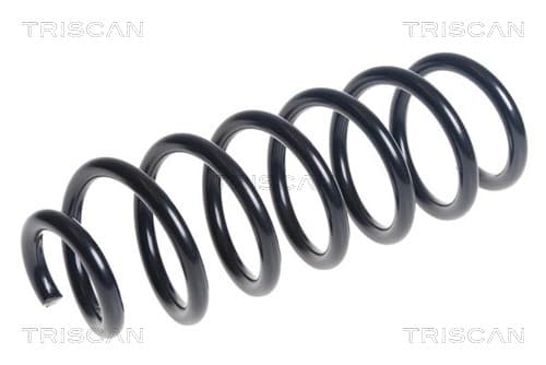 Spiralfjäder bak från TRISCAN