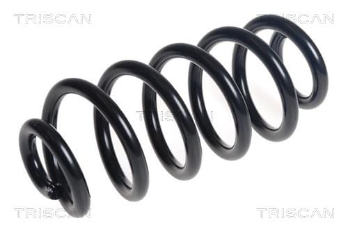 Spiralfjäder bak från TRISCAN