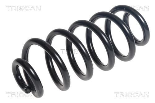 Spiralfjäder bak från TRISCAN
