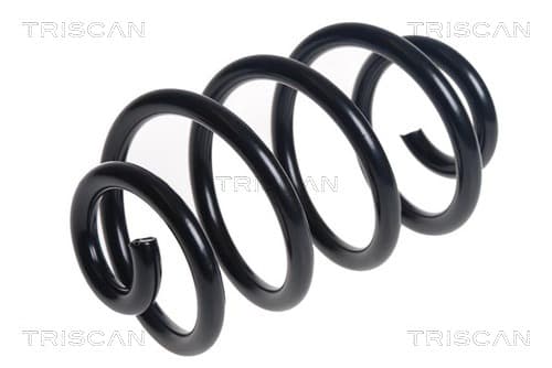 Spiralfjäder bak från TRISCAN