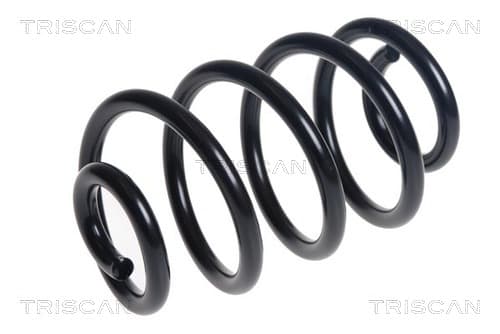 Spiralfjäder bak från TRISCAN