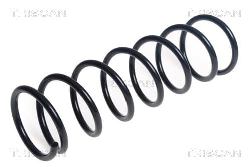 Spiralfjäder fram från TRISCAN