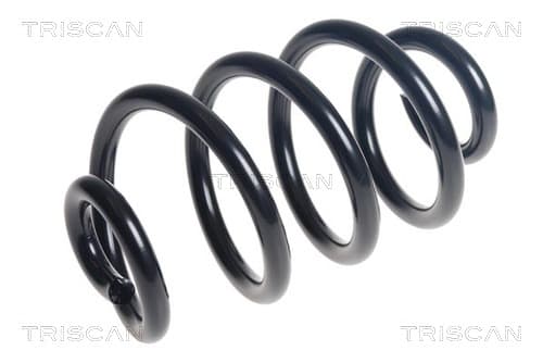 Spiralfjäder bak från TRISCAN