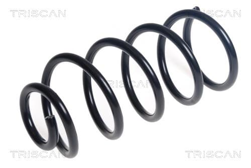 Spiralfjäder bak från TRISCAN
