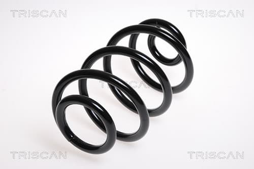 Spiralfjäder bak från TRISCAN