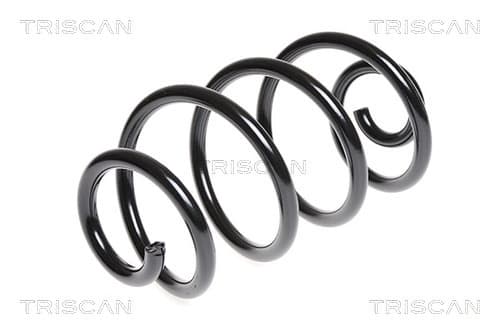 Spiralfjäder bak från TRISCAN