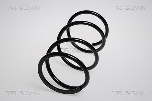 Spiralfjäder fram från TRISCAN