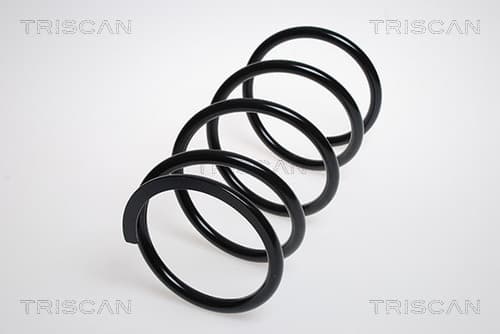 Spiralfjäder fram från TRISCAN