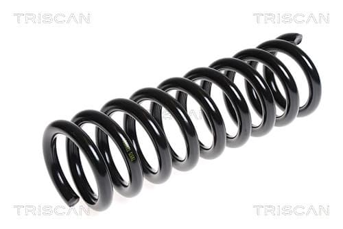Spiralfjäder fram från TRISCAN