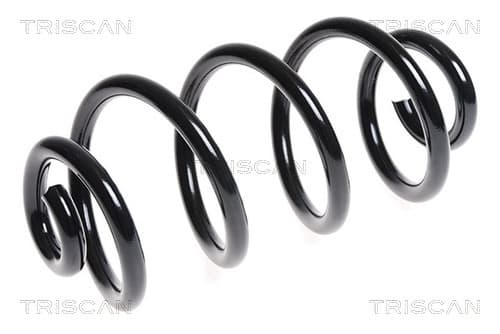 Spiralfjäder bak från TRISCAN