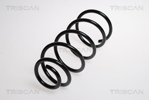 Spiralfjäder bak från TRISCAN