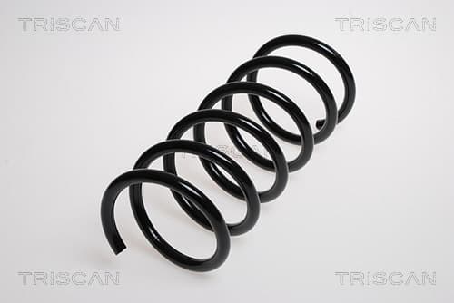 Spiralfjäder bak från TRISCAN