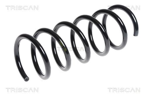 Spiralfjäder bak från TRISCAN
