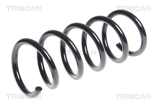 Spiralfjäder bak från TRISCAN