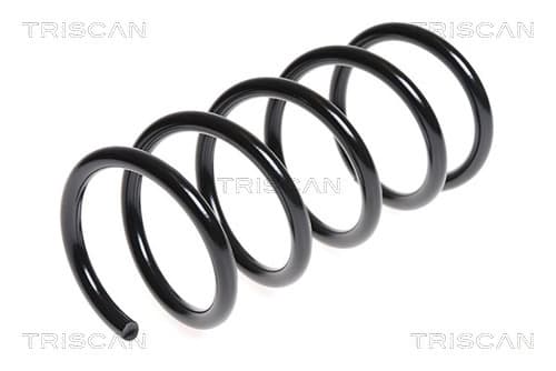Spiralfjäder bak från TRISCAN