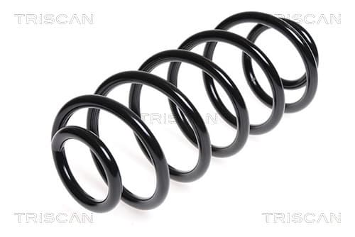 Spiralfjäder bak från TRISCAN