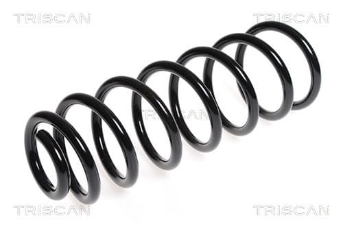 Spiralfjäder bak från TRISCAN
