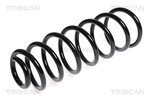 Spiralfjäder bak från TRISCAN