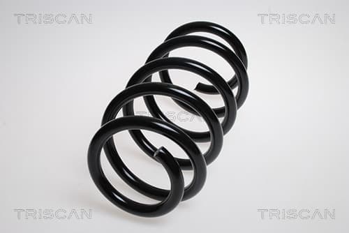 Spiralfjäder fram från TRISCAN