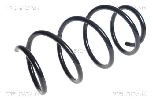 Spiralfjäder fram från TRISCAN