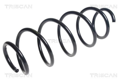 Spiralfjäder fram från TRISCAN